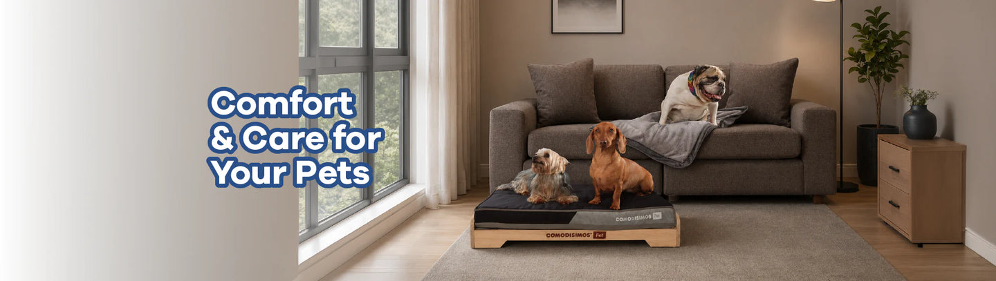Premium Pet Beds & Accessories