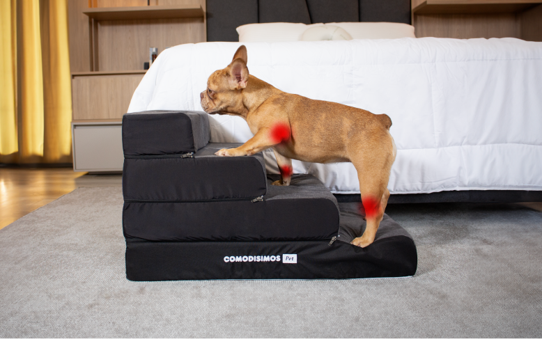 スイデコ　YWスツール DOG 家具・インテリア雑貨の通販｜スイートデコレーション公式 (スイデコ