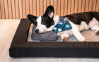 Cozy Nap Pillow